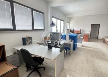 IMG_2343.JPG - Capannone Camaiore - foto 7