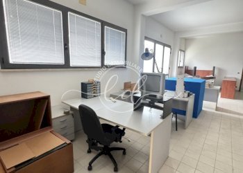 IMG_2344.JPG - Capannone Camaiore - foto 8