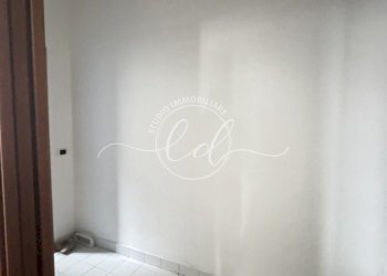 IMG_2348.JPG - Capannone Camaiore - foto 12