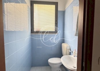 IMG_2349.JPG - Capannone Camaiore - foto 13