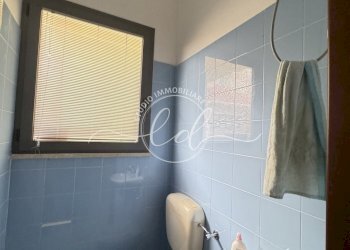 IMG_2350.JPG - Capannone Camaiore - foto 14