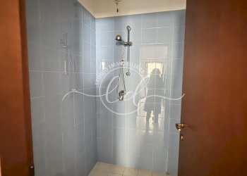 IMG_2351.JPG - Capannone Camaiore - foto 15