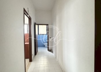 IMG_2352.JPG - Capannone Camaiore - foto 16