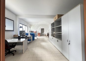 IMG_2354.JPG - Capannone Camaiore - foto 18