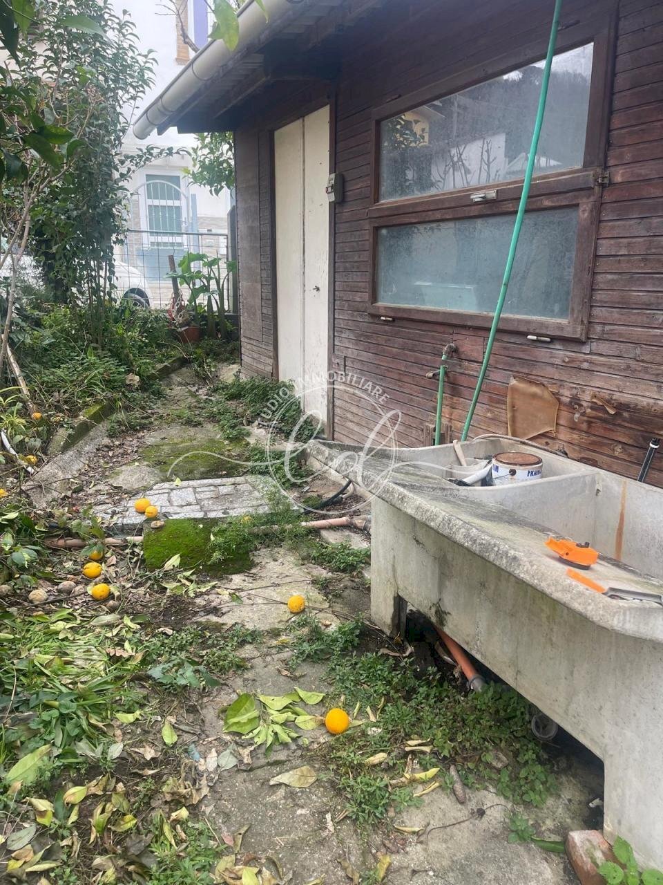 PHOTO-2025-01-27-15-43-47.jpg - Porzione di casa Massarosa - foto 3