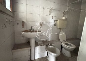 IMG_2402.JPG - Porzione di casa Massarosa - foto 21