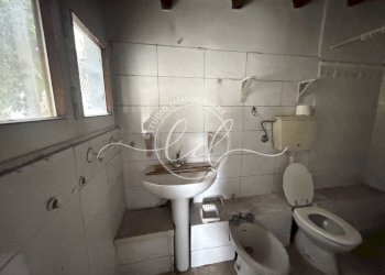 IMG_2405.JPG - Porzione di casa Massarosa - foto 24