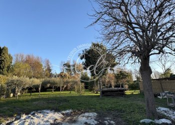 IMG_5466 2.JPG - Laboratorio Pietrasanta - foto 1