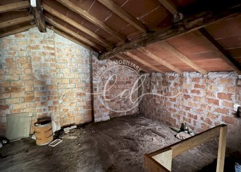 IMG_5483 2.jpg - Laboratorio Pietrasanta - foto 14