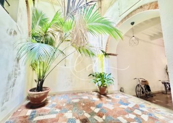 IMG_1547.JPG - Trilocale Pietrasanta - foto 1