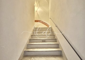 IMG_1518.JPG - Trilocale Pietrasanta - foto 2