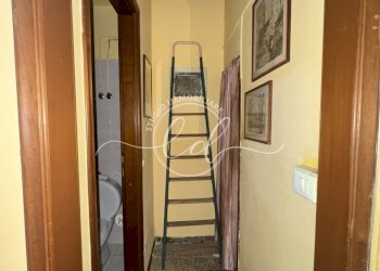 IMG_1531.JPG - Trilocale Pietrasanta - foto 23