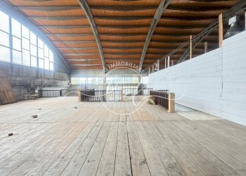 IMG_0616.JPG - Magazzino Pietrasanta - foto 4