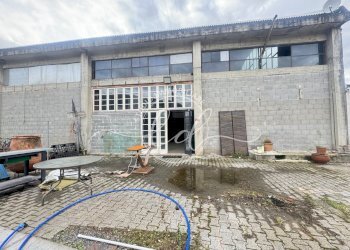 IMG_0606.JPG - Magazzino Pietrasanta - foto 11