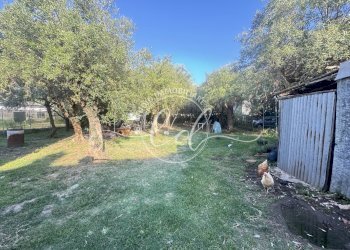 IMG_8418 2.JPG - Porzione di casa Seravezza - foto 18