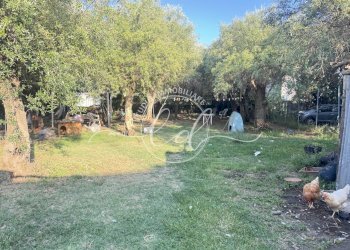 IMG_8417 2.JPG - Porzione di casa Seravezza - foto 19