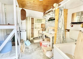 IMG_7494.jpg - Terratetto - Terracielo Seravezza - foto 16