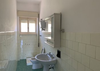 IMG_3570.JPG - Appartamento Via Cerere Navicella, Anagni - foto 21