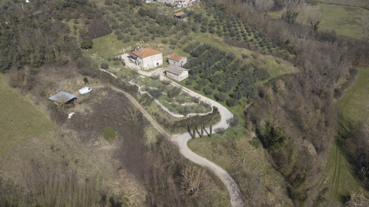 paliano casolare hd-21.jpg - Casale Strada Provinciale 118, Anagni - foto 1