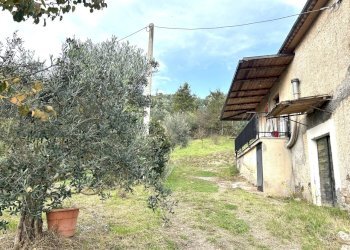 IMG_9384.JPG - Casale Strada Provinciale 118, Anagni - foto 12