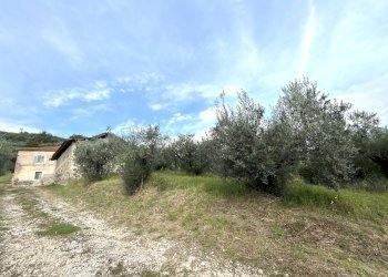 IMG_9398.JPG - Casale Strada Provinciale 118, Anagni - foto 15