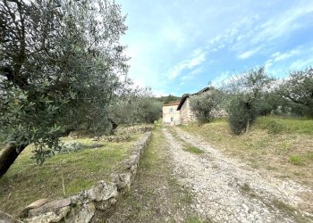 IMG_9400.JPG - Casale Strada Provinciale 118, Anagni - foto 17