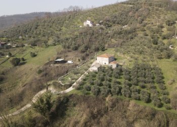 paliano casolare hd-19.jpg - Casale Strada Provinciale 118, Anagni - foto 2