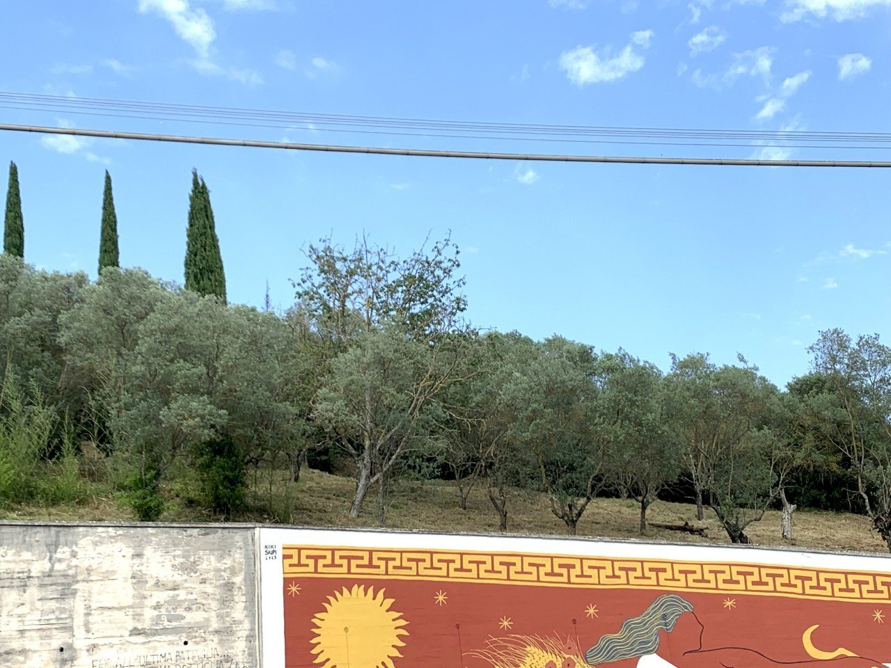 IMG_3194.jpg - Terreno agricolo Via San Giorgetto, Anagni - foto 3