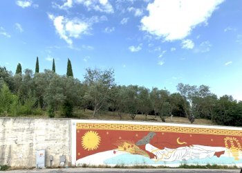 IMG_3195.jpg - Terreno agricolo Via San Giorgetto, Anagni - foto 1