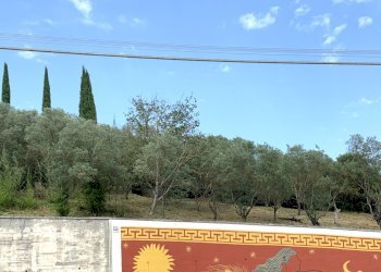 IMG_3194.jpg - Terreno agricolo Via San Giorgetto, Anagni - foto 3