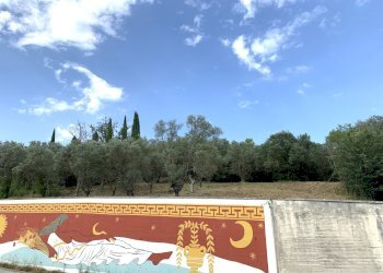 IMG_3196.jpg - Terreno agricolo Via San Giorgetto, Anagni - foto 5