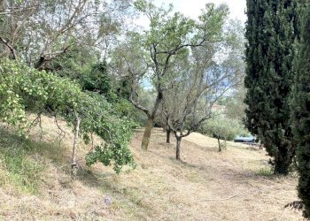 IMG_3201.jpg - Terreno agricolo Via San Giorgetto, Anagni - foto 8