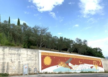 IMG_3198.jpg - Terreno agricolo Via San Giorgetto, Anagni - foto 9