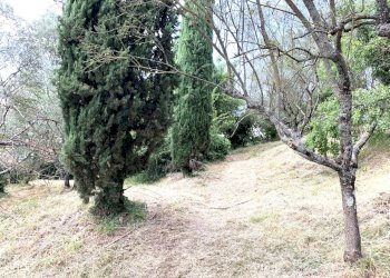 nuova.jpg - Terreno agricolo Via San Giorgetto, Anagni - foto 13