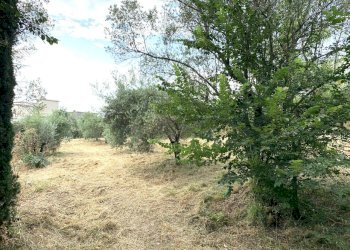 nuova2.jpg - Terreno agricolo Via San Giorgetto, Anagni - foto 14