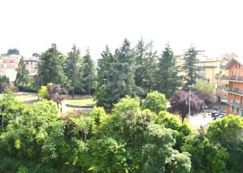 5 (1).JPG - Locale Commerciale Via Vallicelle, Fiuggi - foto 6