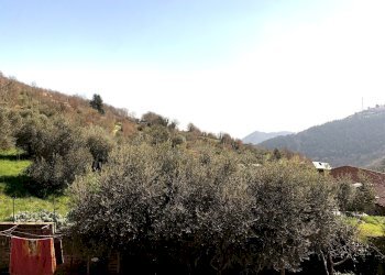 IMG_2963.JPG - Casa semi indipendente Via Sterpara snc, Fumone - foto 18