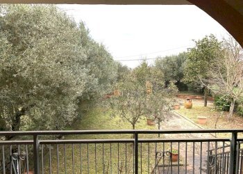 IMG_2792.JPG - Casa indipendente Vicinale Prato Sabatino, Anagni - foto 26