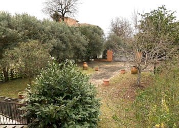 IMG_2794.JPG - Casa indipendente Vicinale Prato Sabatino, Anagni - foto 27