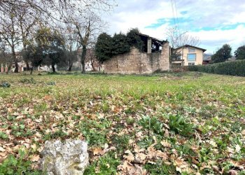 bef443ff-5e55-4445-8f48-1a0ca181e2a8.jpeg - Independent house Via del Campo, Ferentino - photo 5