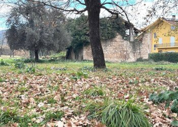 f985d078-598c-4dd3-a2cc-b764c54c7345.jpeg - Independent house Via del Campo, Ferentino - photo 7