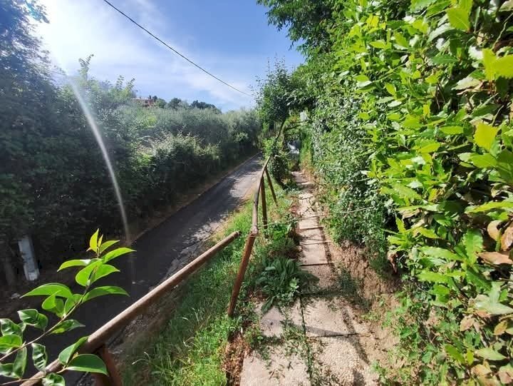 WhatsApp Image 2025-05-21 at 16.00.22 (2).jpeg - Terreno agricolo via monte palombino, Fonte Nuova - foto 3