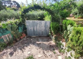 WhatsApp Image 2025-05-21 at 16.00.22 (1).jpeg - Terreno agricolo via monte palombino, Fonte Nuova - foto 2