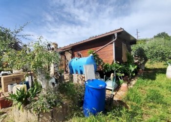 WhatsApp Image 2025-05-21 at 16.00.22.jpeg - Terreno agricolo via monte palombino, Fonte Nuova - foto 6