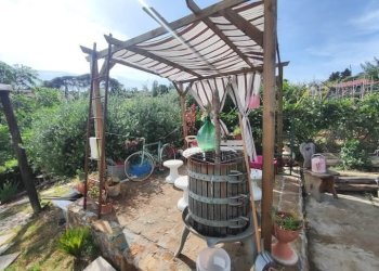 WhatsApp Image 2025-05-21 at 16.00.23 (2).jpeg - Terreno agricolo via monte palombino, Fonte Nuova - foto 8