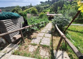 WhatsApp Image 2025-05-21 at 16.00.23 (6).jpeg - Terreno agricolo via monte palombino, Fonte Nuova - foto 12