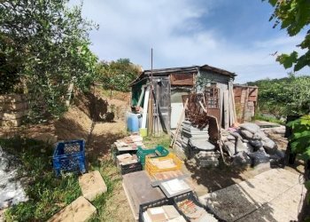 WhatsApp Image 2025-05-21 at 16.00.23 (7).jpeg - Terreno agricolo via monte palombino, Fonte Nuova - foto 13