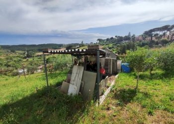 WhatsApp Image 2025-05-21 at 16.00.23 (9).jpeg - Terreno agricolo via monte palombino, Fonte Nuova - foto 14