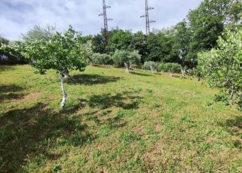 WhatsApp Image 2025-05-21 at 16.00.24 (2).jpeg - Terreno agricolo via monte palombino, Fonte Nuova - foto 17