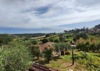 WhatsApp Image 2025-05-21 at 16.00.24 (3).jpeg - Terreno agricolo via monte palombino, Fonte Nuova - foto 18